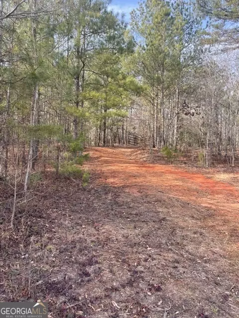 0 Willis Rd, Thomaston, GA 30286 photo 3