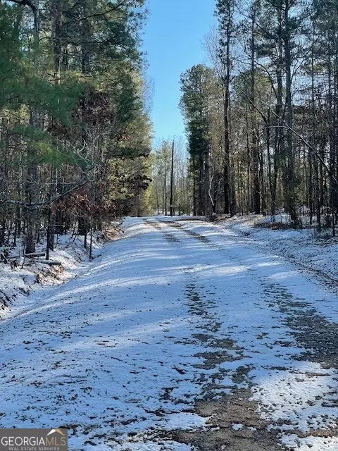 0 Willis Rd, Thomaston, GA 30286