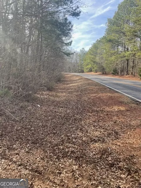 0 Willis Rd, Thomaston, GA 30286 photo 5