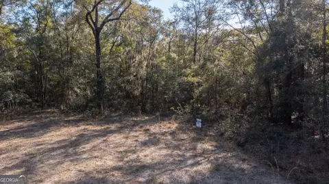 V/l 5 Blk C Riv Deer Court, Waverly, GA 31565