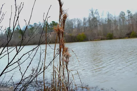 163 Pearl Dr NE, Milledgeville, GA 31061