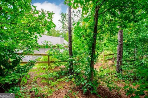 413 Branch Ln, Temple, GA 30179 photo 38