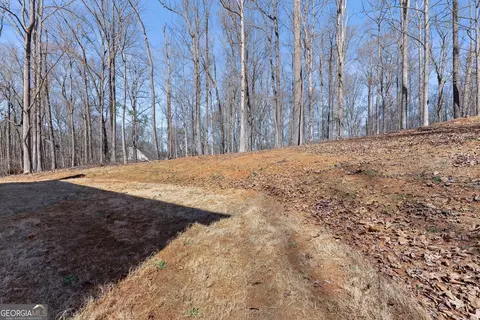Exterior - 175 Stream Side Dr, Pendergrass, GA 30567 photo 7 of 7