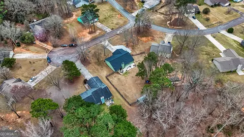 View/Area - 11157 Ash Ct, Hampton, GA 30228 photo 3 of 3