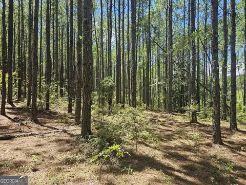 3057 Keysville Boggs Academy Rd, Keysville, GA 30816