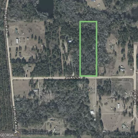 0 Quail Ln, Alapaha, GA 31622