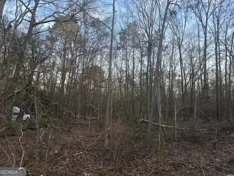 0 Honeysuckle Rd, Dublin, GA 31021 photo 8