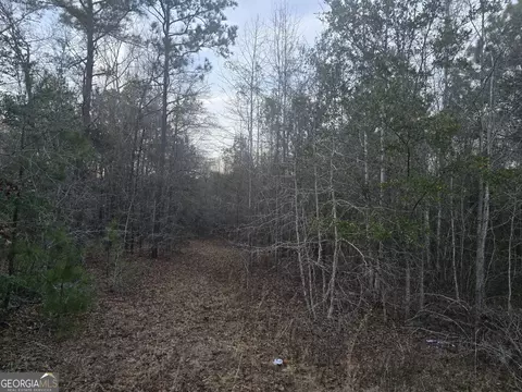 0 Honeysuckle Rd, Dublin, GA 31021 photo 2