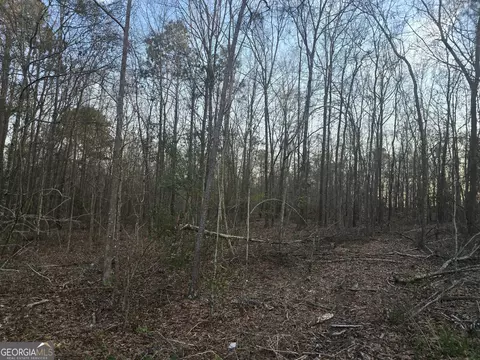 0 Honeysuckle Rd, Dublin, GA 31021 photo 7