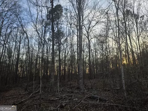 0 Honeysuckle Rd, Dublin, GA 31021