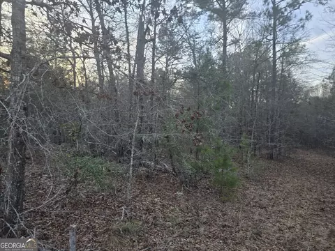 0 Honeysuckle Rd, Dublin, GA 31021 photo 3