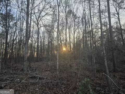 0 Honeysuckle Rd, Dublin, GA 31021 photo 6