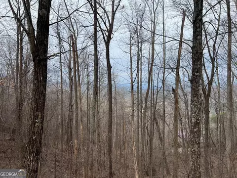 lot73 Rocky Knob Ests, Young Harris, GA 30582