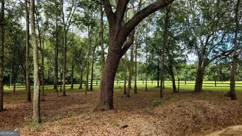 0 Back Nine Rd, Pelham, GA 31779 photo 2