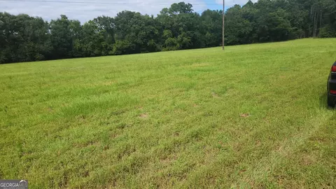 0 Back Nine Rd, Pelham, GA 31779 photo 5