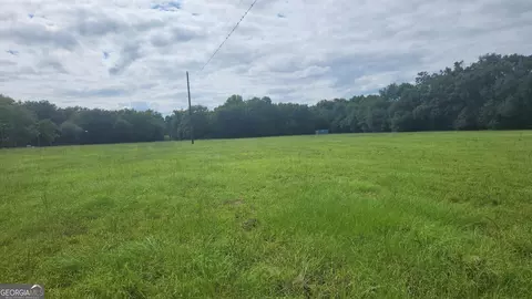 0 Back Nine Rd, Pelham, GA 31779 photo 3