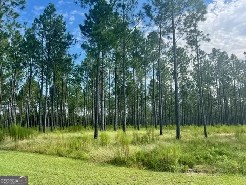 33206 Canoochee Rd, Metter, GA 30439