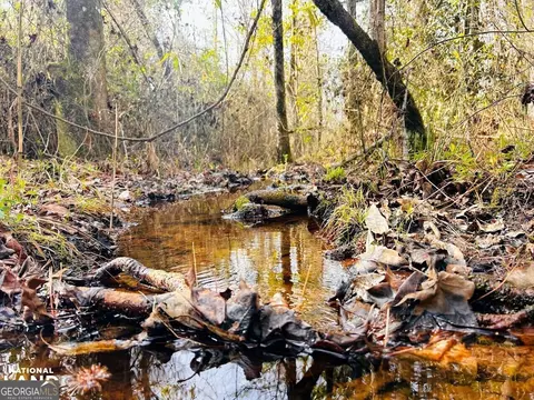 0 County Road 36, Eufaula, AL 36027