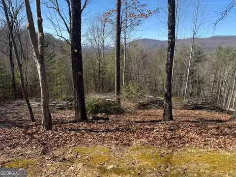 Undisclosed, Hayesville, NC 28904