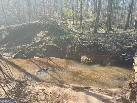 0 Triune Mill Rd, Thomaston, GA 30286 photo 8