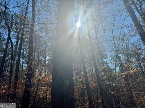 0 Triune Mill Rd, Thomaston, GA 30286 photo 5