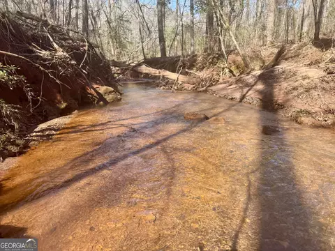 0 Triune Mill Rd, Thomaston, GA 30286 photo 2