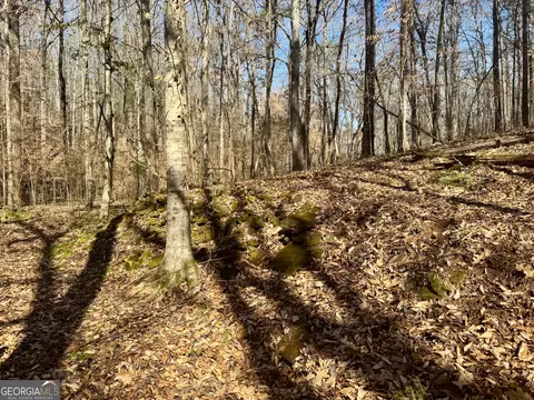 0 Triune Mill Rd, Thomaston, GA 30286 photo 6