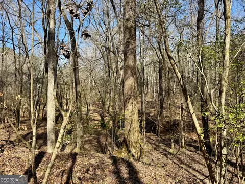 0 Triune Mill Rd, Thomaston, GA 30286 photo 4