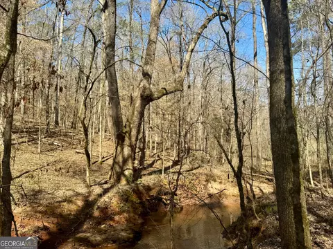 0 Triune Mill Rd, Thomaston, GA 30286 photo 7