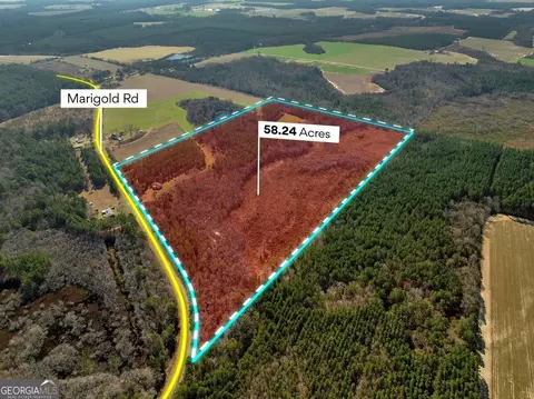 348 Marigold Rd, Rochelle, GA 31079