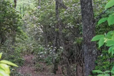 0 Rainbow Lake Dr #38B, Dillard, GA 30537