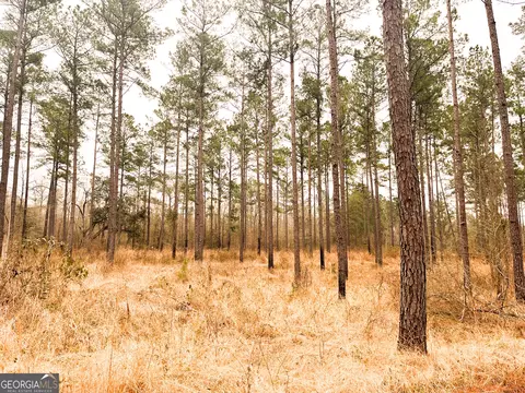 0 Newton Rd, Bainbridge, GA 39817