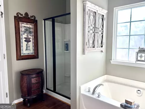 Bath - 222 Sandstone Dr, Hampton, GA 30228 photo 1 of 3