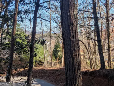 0 Ivylog Dr, Blairsville, GA 30512