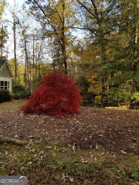 890 John Lovelace Rd, Lagrange, GA 30241 photo 22