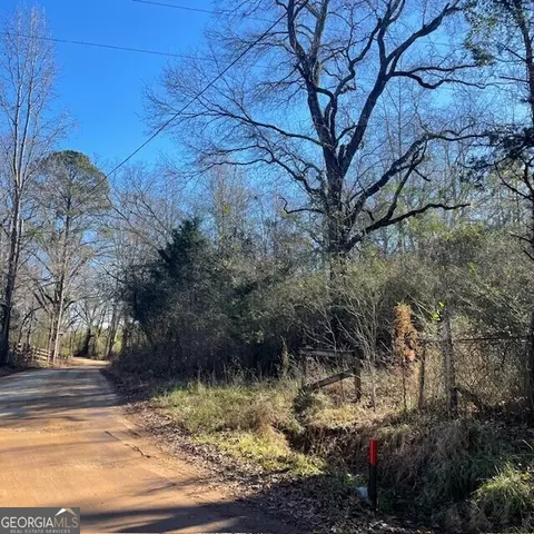 3 46 Acres On Tax Rd, Woodland, GA 31836