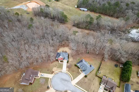 View/Area - 190 Bridgemill Dr, Hampton, GA 30228 photo 3 of 5