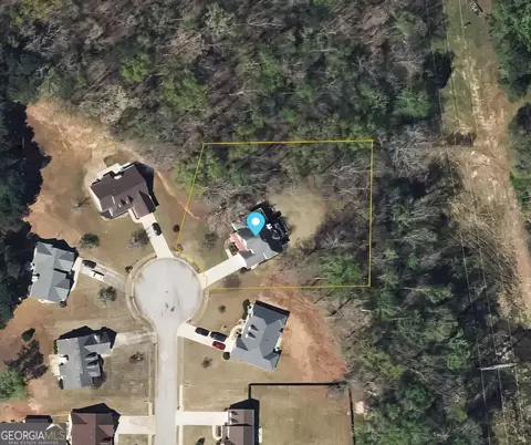 View/Area - 190 Bridgemill Dr, Hampton, GA 30228 photo 2 of 5