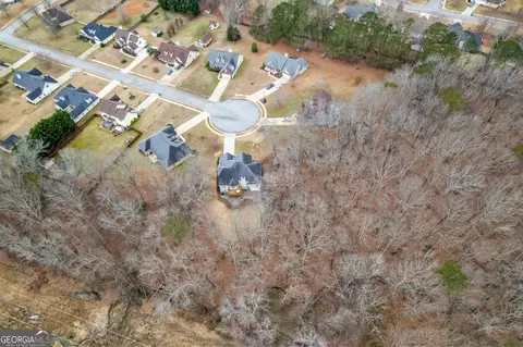 View/Area - 190 Bridgemill Dr, Hampton, GA 30228 photo 5 of 5