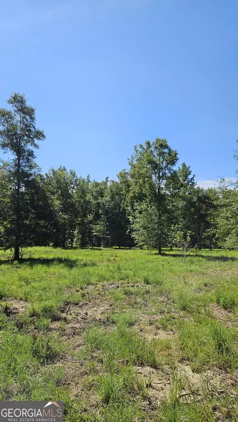 lot29 Bayside Dr, Greensboro, GA 30642