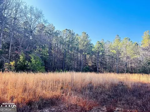 0 Highway 90 W, Mauk, GA 31078