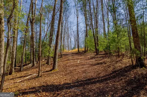 2564 Parnell Dr #2564, Ellijay, GA 30540