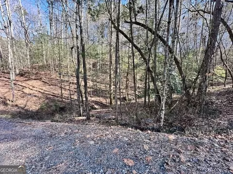 lot3764 R Eagle Mtn, Ellijay, GA 30540