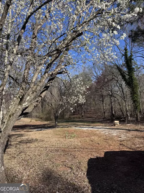 884 Dolly Nixon Rd, Senoia, GA 30276