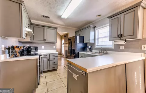39 Thorne Berry Dr, Hampton, GA 30228 photo 9