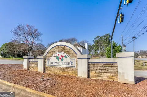39 Thorne Berry Dr, Hampton, GA 30228 photo 36