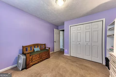39 Thorne Berry Dr, Hampton, GA 30228 photo 24