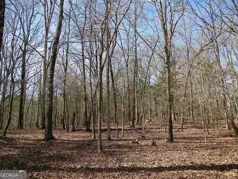 lot26 Benjamin Brown Ct, Elberton, GA 30635