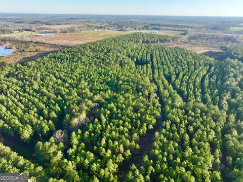 0 Yancey Rd #LOT WP003, Rhine, GA 31077