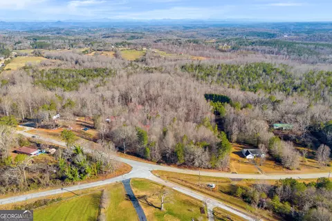 855 Brookhaven Cir, Toccoa, GA 30577 photo 3